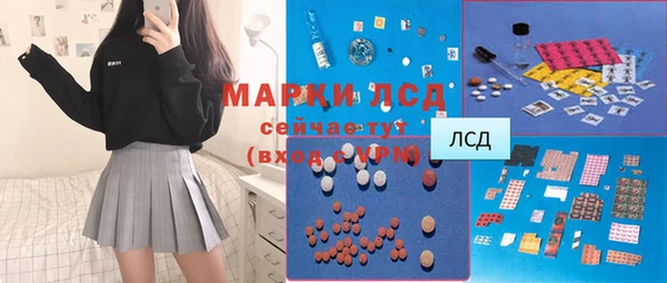 гашик Алексин