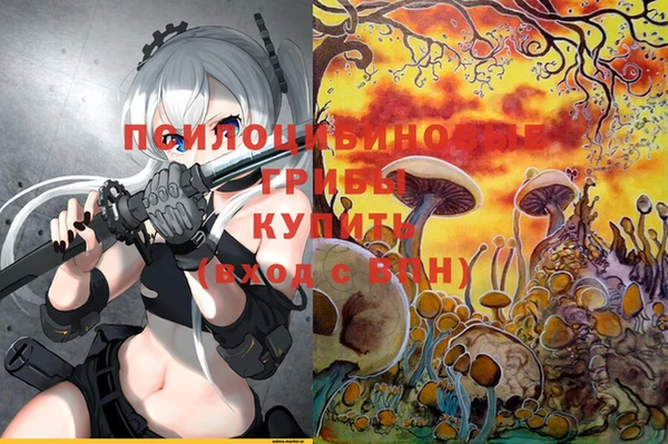 гашик Алексин