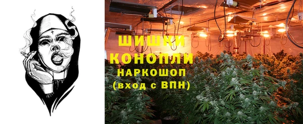 гашик Алексин