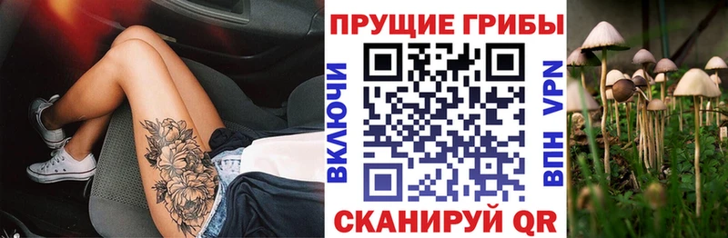 Псилоцибиновые грибы ЛСД Старая Купавна