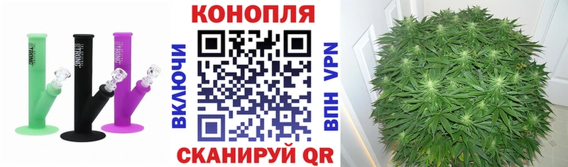 hydra онион  площадка наркотические препараты  Бошки Шишки сатива  купить наркоту  Старая Купавна 